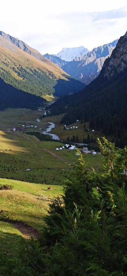 Ala-Kul Guesthouse In Altyn-Arashan Karakol Dış mekan fotoğraf
