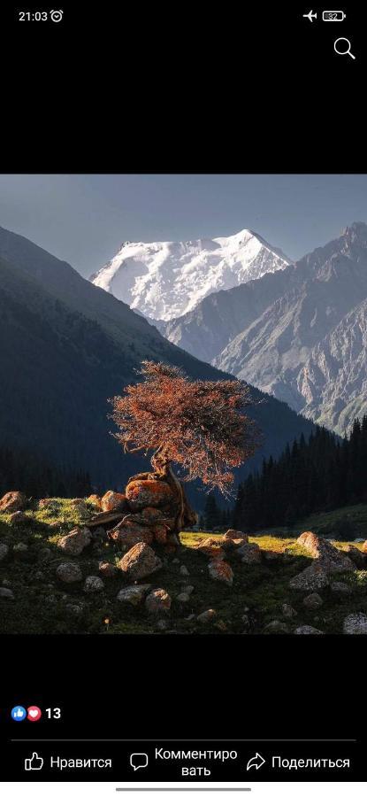 Ala-Kul Guesthouse In Altyn-Arashan Karakol Dış mekan fotoğraf