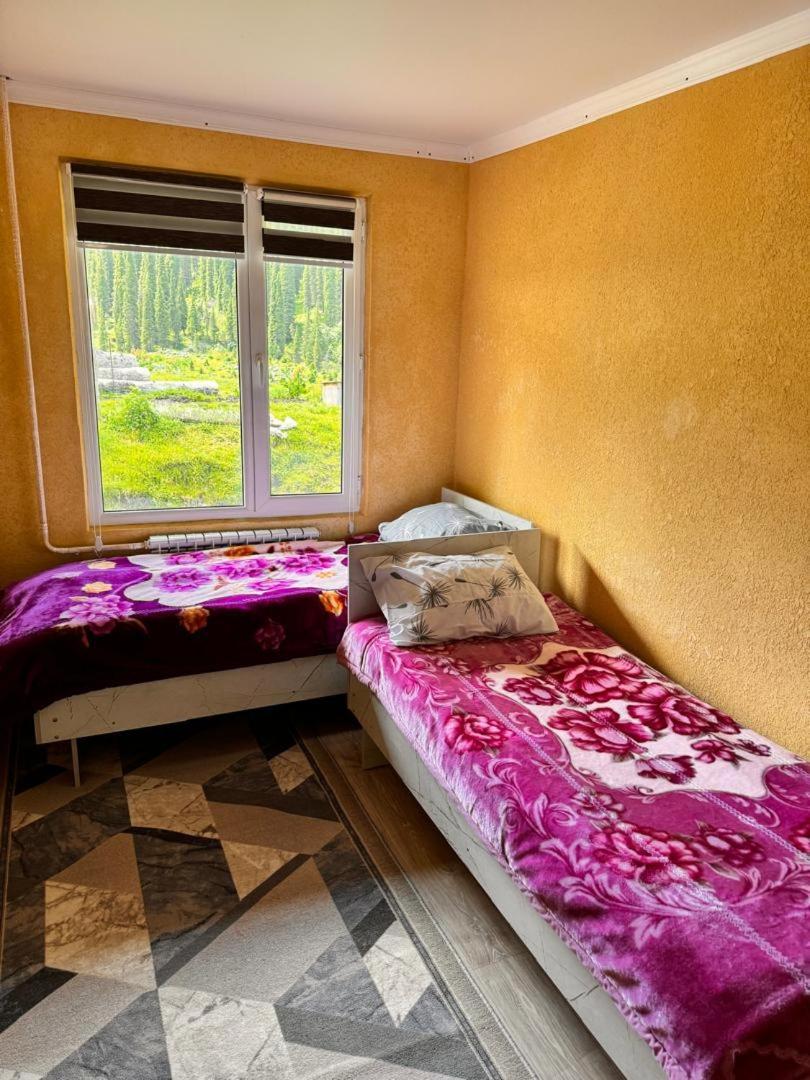 Ala-Kul Guesthouse In Altyn-Arashan Karakol Dış mekan fotoğraf
