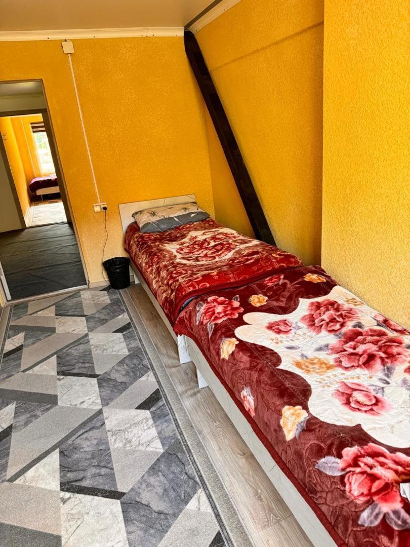 Ala-Kul Guesthouse In Altyn-Arashan Karakol Dış mekan fotoğraf