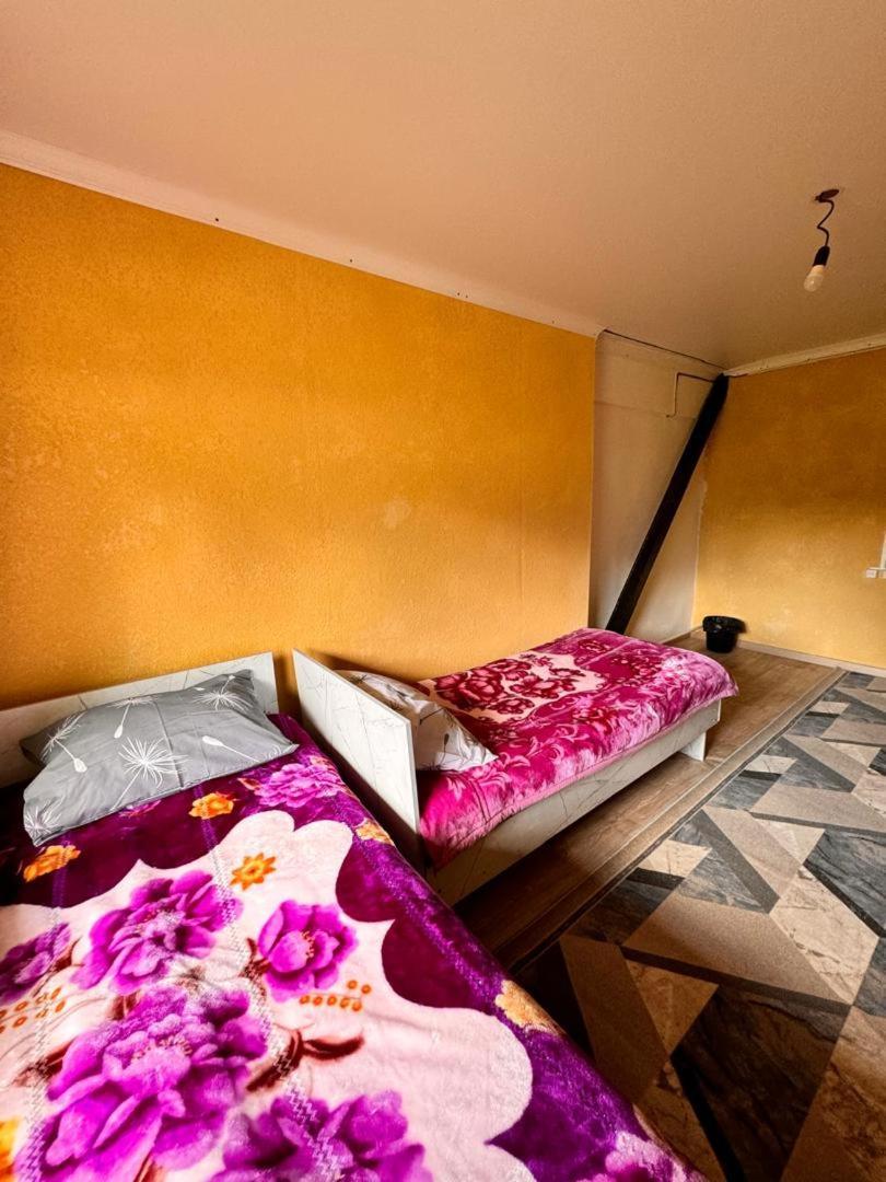 Ala-Kul Guesthouse In Altyn-Arashan Karakol Dış mekan fotoğraf
