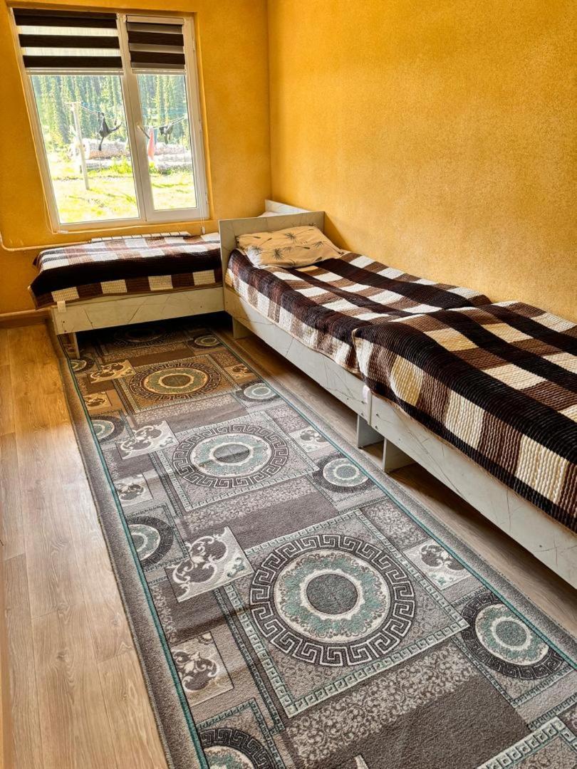 Ala-Kul Guesthouse In Altyn-Arashan Karakol Dış mekan fotoğraf