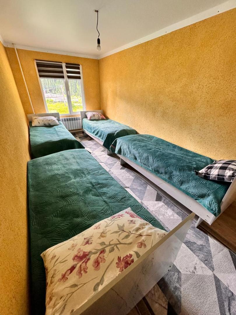 Ala-Kul Guesthouse In Altyn-Arashan Karakol Dış mekan fotoğraf