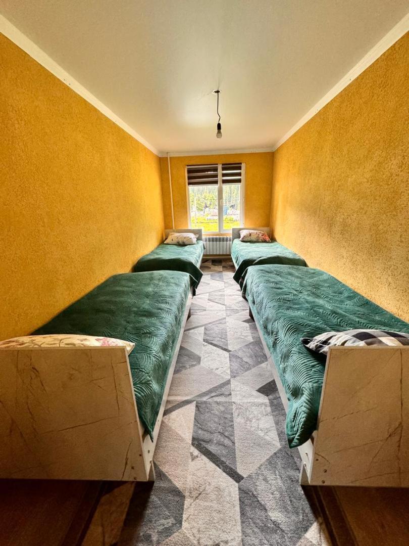 Ala-Kul Guesthouse In Altyn-Arashan Karakol Dış mekan fotoğraf