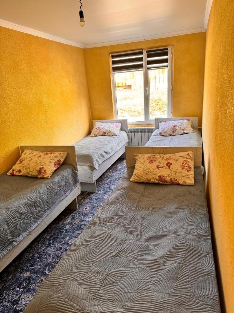 Ala-Kul Guesthouse In Altyn-Arashan Karakol Dış mekan fotoğraf