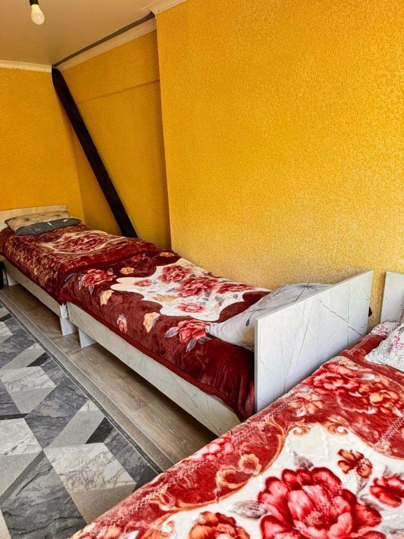 Ala-Kul Guesthouse In Altyn-Arashan Karakol Dış mekan fotoğraf