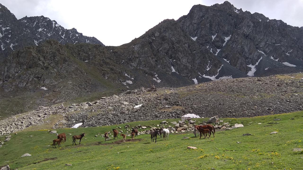 Ala-Kul Guesthouse In Altyn-Arashan Karakol Dış mekan fotoğraf