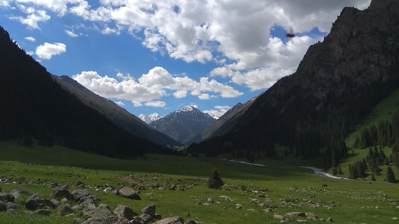 Ala-Kul Guesthouse In Altyn-Arashan Karakol Dış mekan fotoğraf