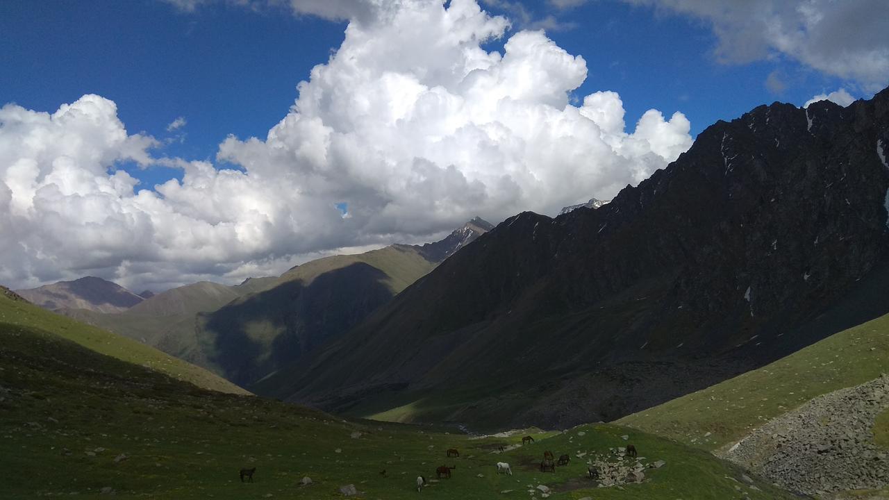 Ala-Kul Guesthouse In Altyn-Arashan Karakol Dış mekan fotoğraf